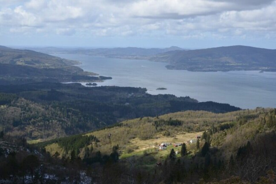 Vestrheim og Vikne først til topps