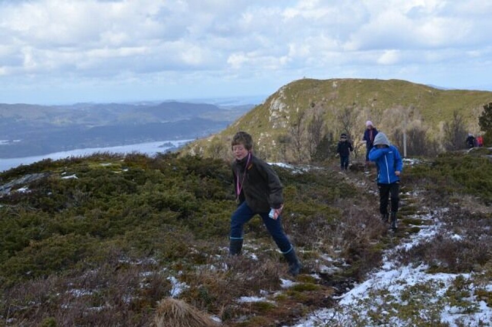 Vestrheim og Vikne først til topps