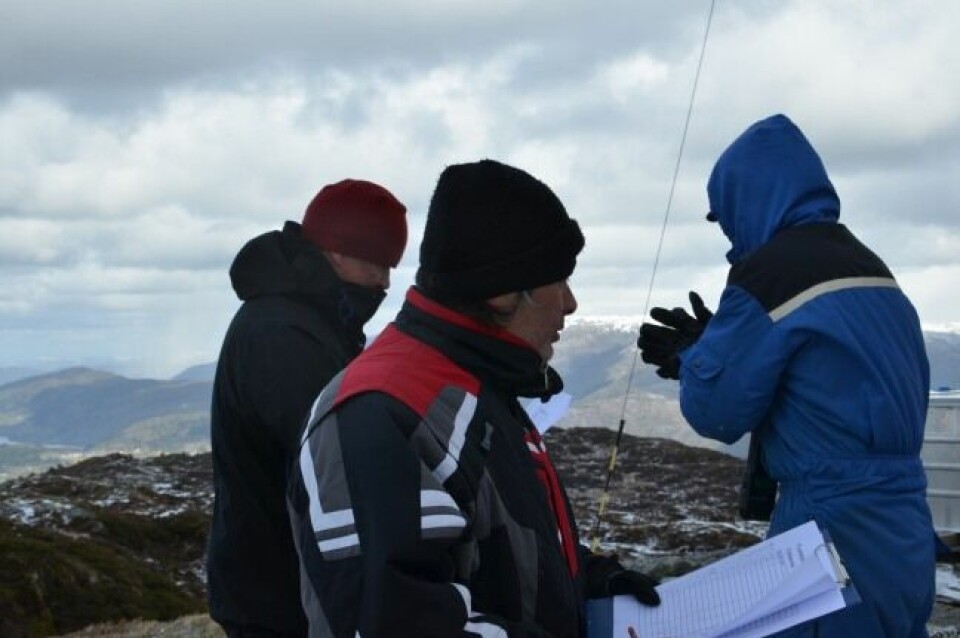 Vestrheim og Vikne først til topps