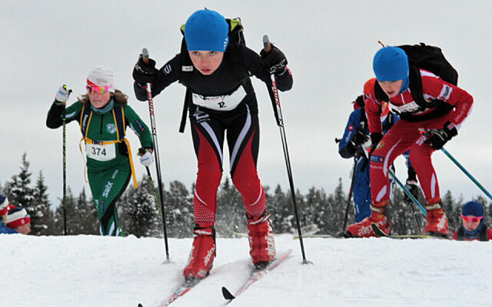 BarneBirken - alltid like fasinerende! IMG_3783