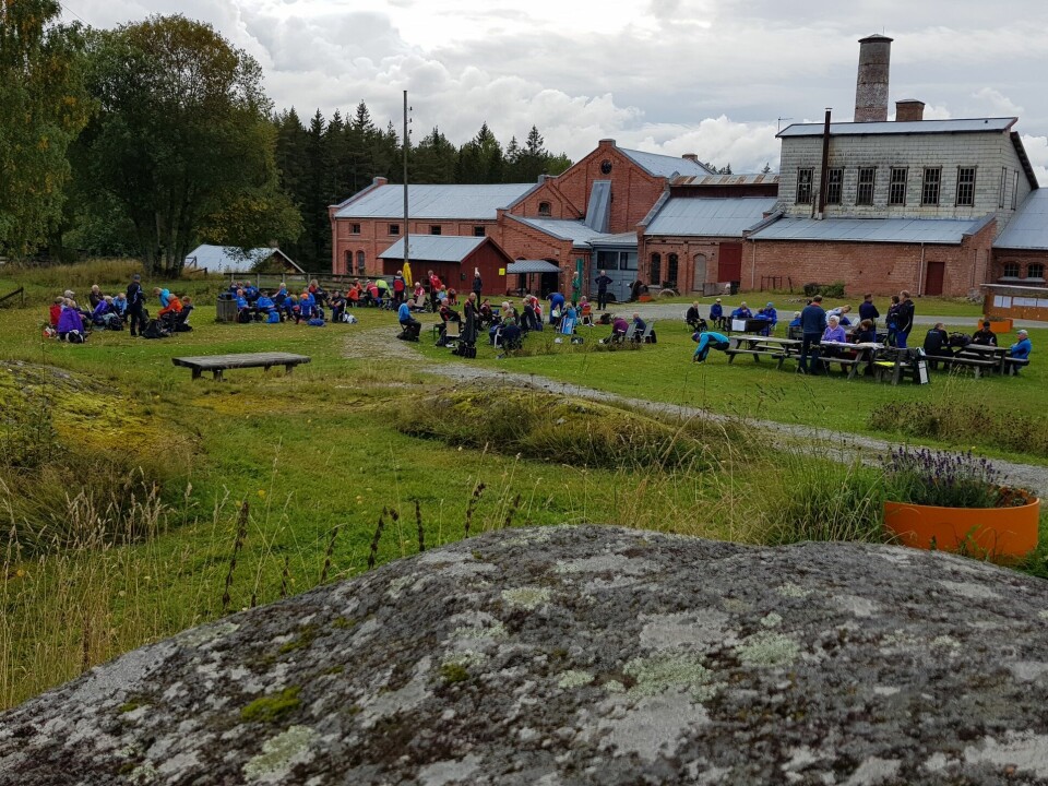 Krevende i skogen på ukas bedrifts o-løp i Løten Fin samlingsplass på Klevfoss.jpg