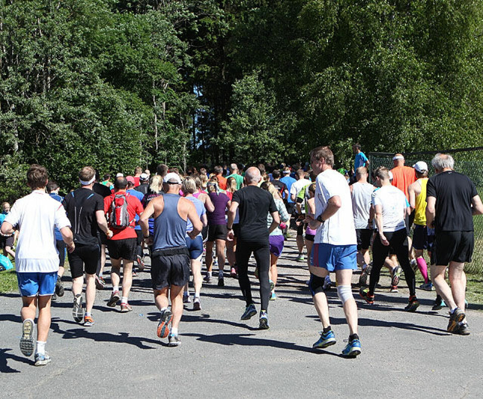 Sterke vinnertider i Skogsmaraton