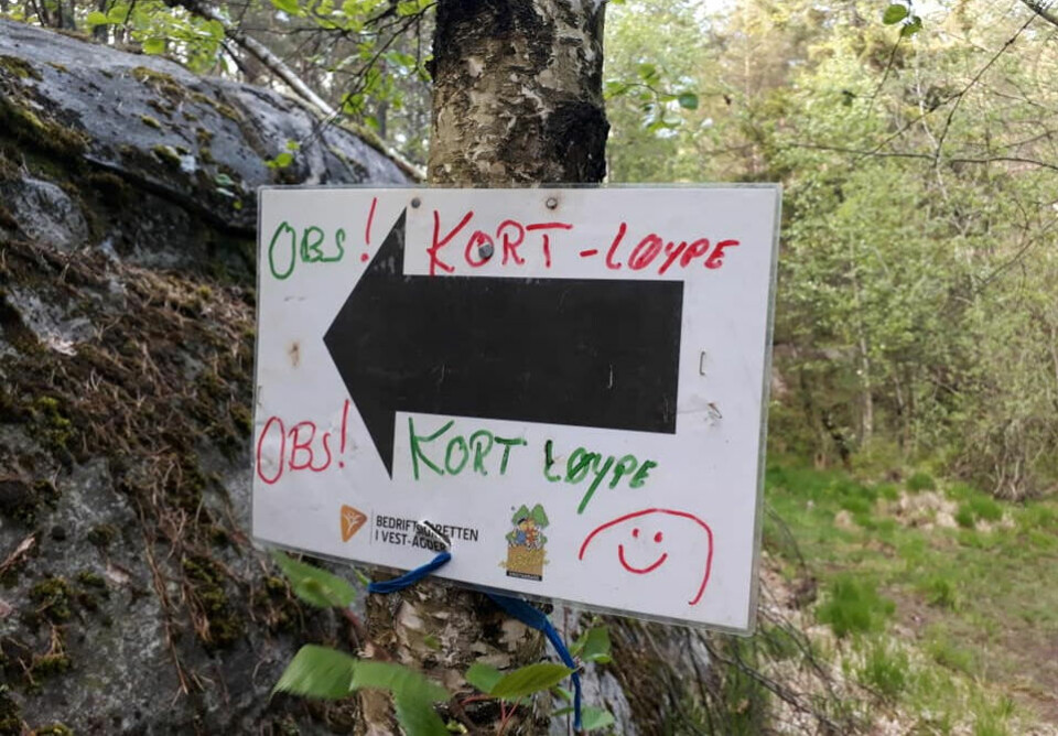 Løypene i Terrengkarusellen er godt merket hele veien! Foto: Guro Sæterlid Løypene i Terrengkarusellen er godt merket hele veien! Foto: Guro Sæterlid