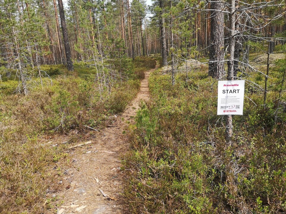 Kondiskarusellen helt i hundre i Elverum Barnålsrunden.jpg