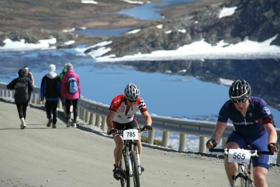 Løyperekorder i Nibberittet