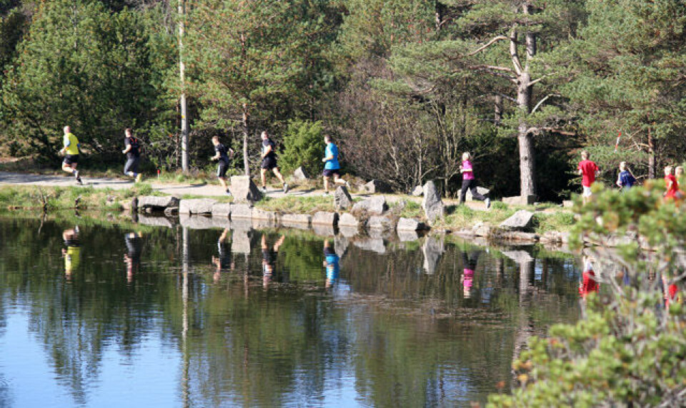 Terrengtrimmens 5. løp i Egersund