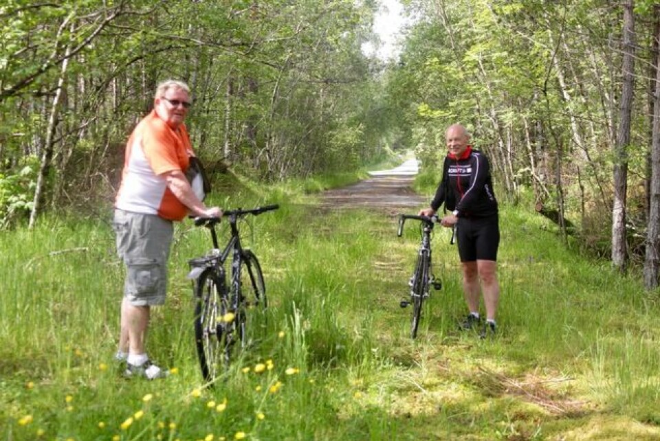 Sigbjørn Lerstad - ny autorisert løypemåler i Ålesund To_bjoerner_skogen