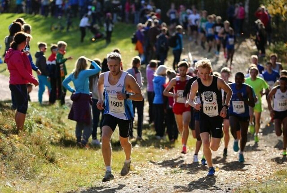 Furumomila i vakkert høstvær - Mude og S. Fissehatsion vant Furumomila2017-bakke10k.jpg