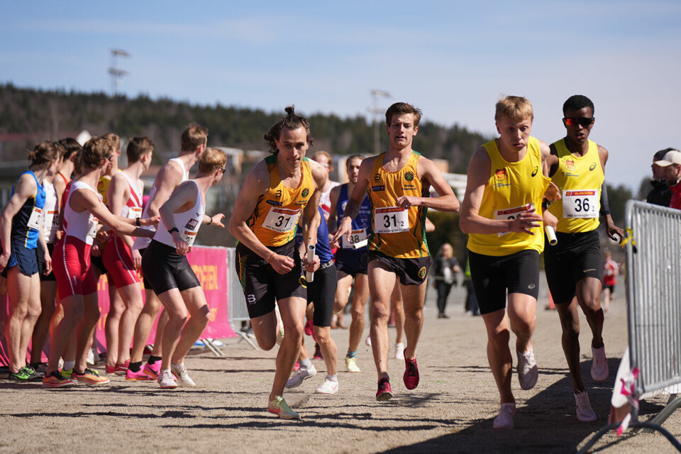 Tjalve med dobbeltseier på stafetten under Terreng-NM kort løype herrer-veksling-ull-kisa-og-bul.jpg