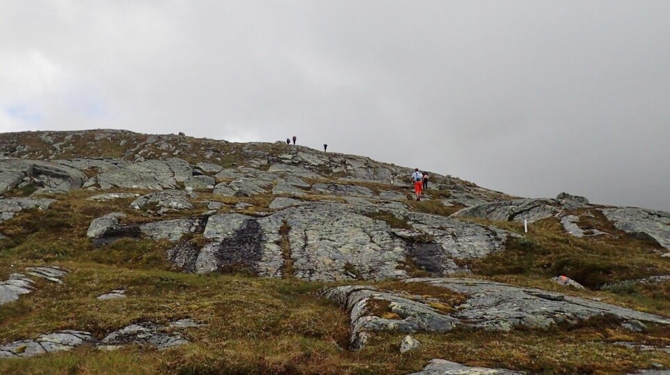 Norske ultraløp 2025: Løpsliste (113 løp), påmeldingsstatus og statistikk