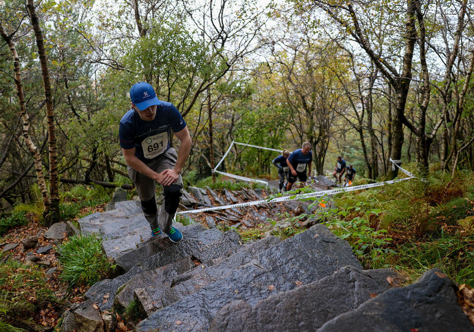 Trappene som bare kalles Stoltzekleiven slynger seg oppover i terrenget mot Sandviksfjellet. (Foto og video: Arne Dag Myking) Stoltzekleiven Opp