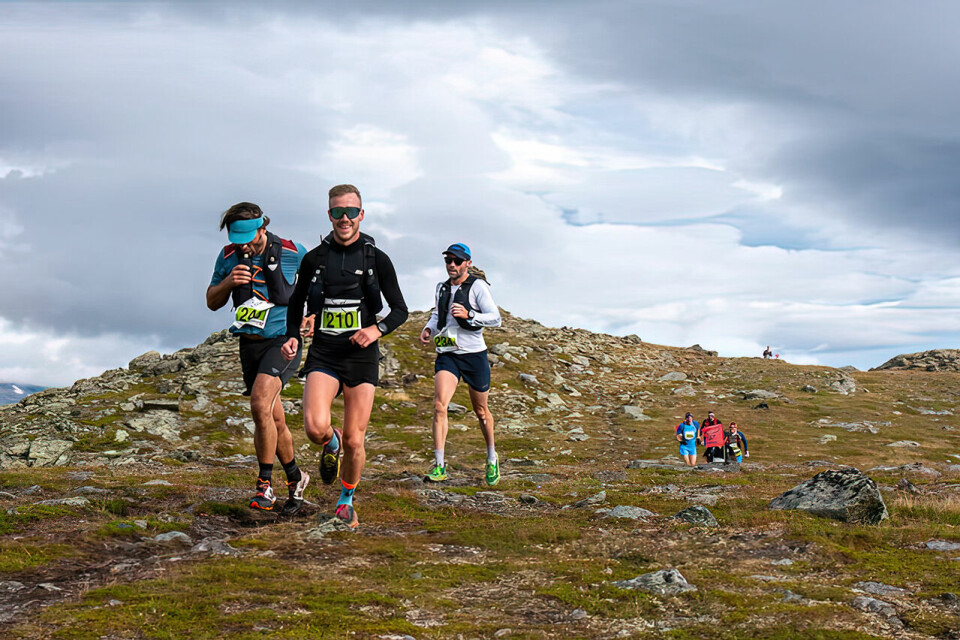 Odd Even Fossen med flere i godt driv over fjellet under årets Oppdal Fjellmaraton. (Foto: Ludvig Yttergren) Odd Even Fossen med flere i godt driv over fjellet under årets Oppdal Fjellmaraton. (Foto: Ludvig Yttergren)