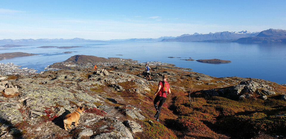 Første utgave av Harstad Summits Trail Marathon ble en løpefest! Oversiktsbilde