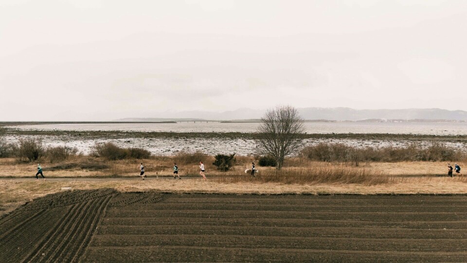 Deltakere, frivillige og publikum sørget for et feiende flott arrangement på Frosta. Her ser vi løpere på rekke og rad ut mot Trondheimsfjorden. (Foto: arrangøren) Deltakere, frivillige og publikum sørget for et feiende flott arrangement på Frosta. Her ser vi løpere på rekke og rad ut mot Trondheimsfjorden. (Foto: arrangøren)