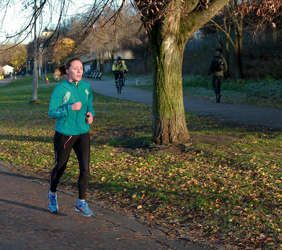 Tøyen parkrun # 12 under blå himmel og strålende sol. ParkRun_11.11.2017_IMG_5240.jpg