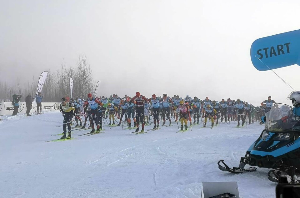Starten går på Tingstadjordet i Rena. (Foto: Rolf Bakken) null