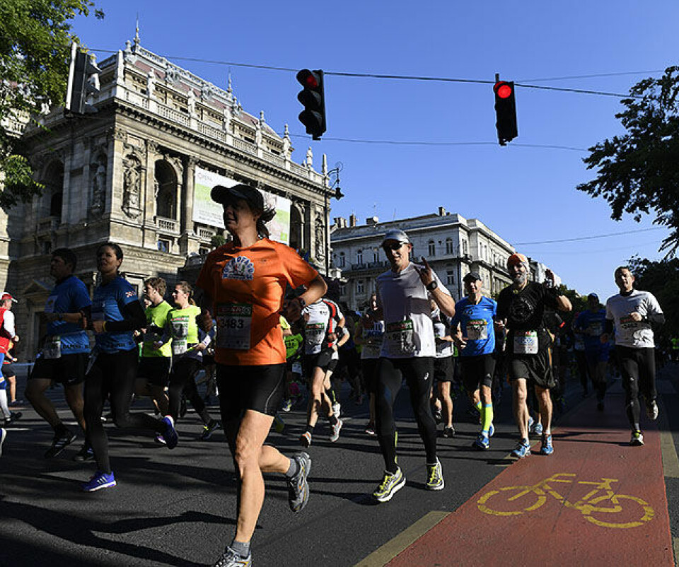 Budapest Marathon - folkefest og spennende arkitektur D5N5047.jpg
