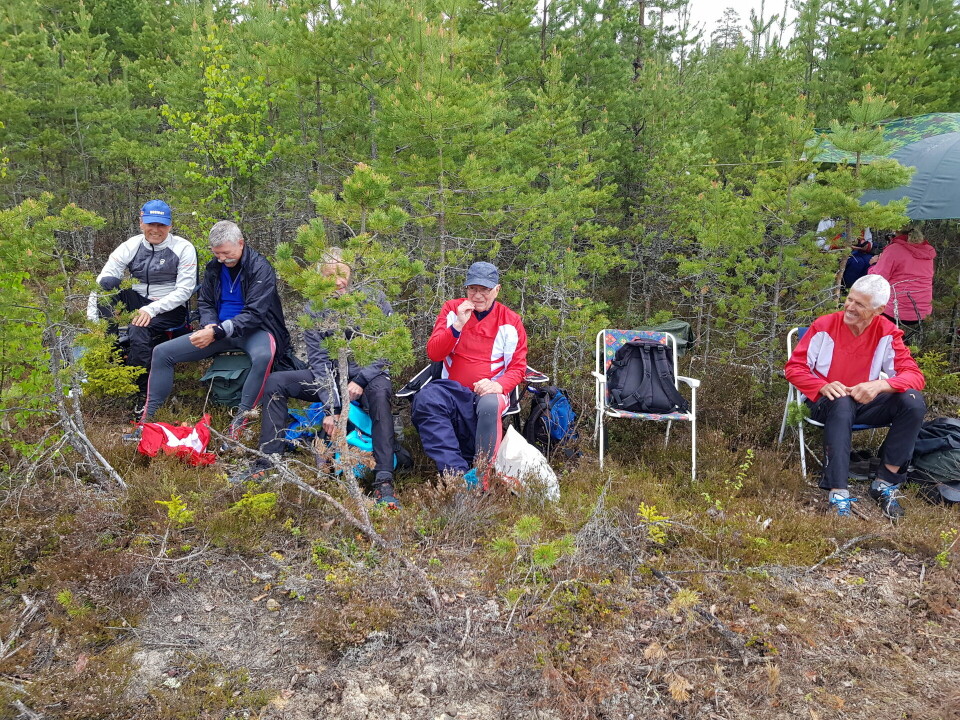 Bedrift o-løp i furuterreng og villmark i Elverum Garderobe i skogen.jpg