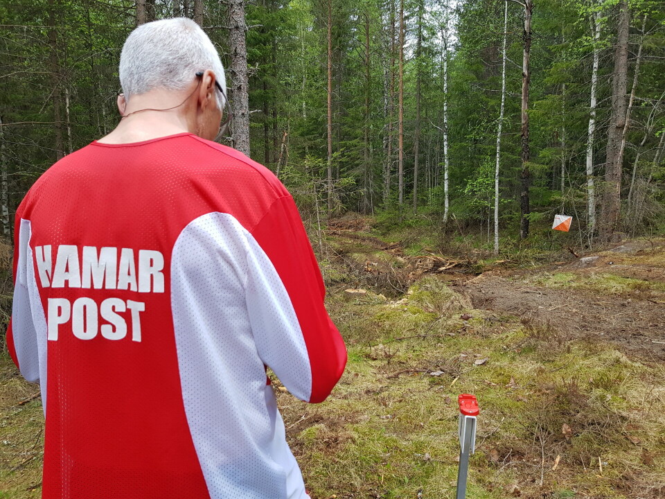 Bedrift o-løp i furuterreng og villmark i Elverum Hamar post klar til postjakt.jpg