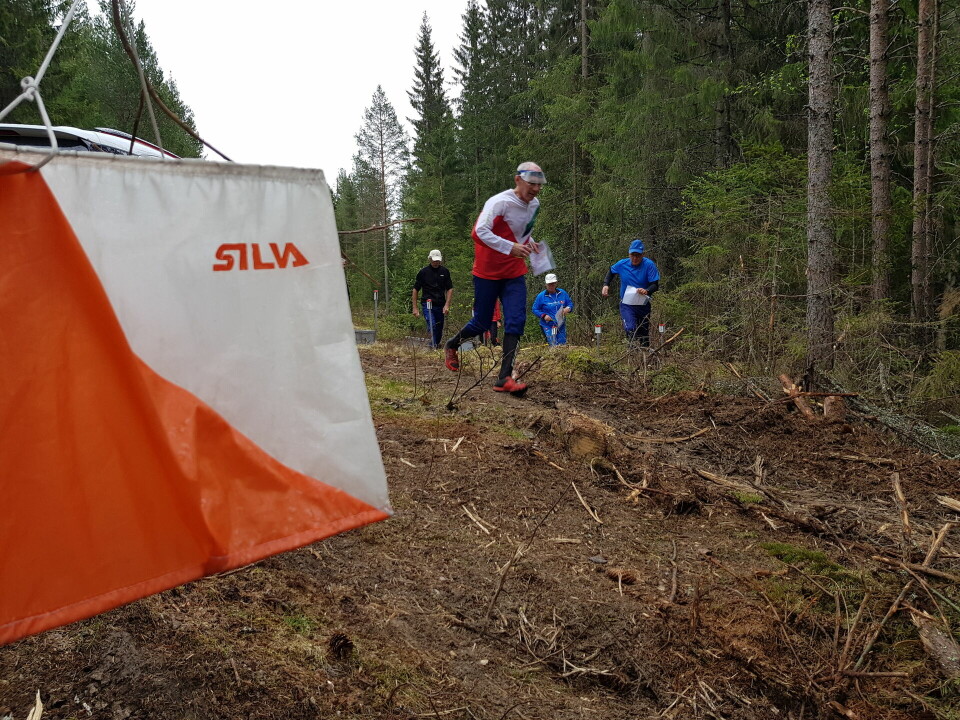 Bedrift o-løp i furuterreng og villmark i Elverum Knut Skjeset ut fra start.jpg