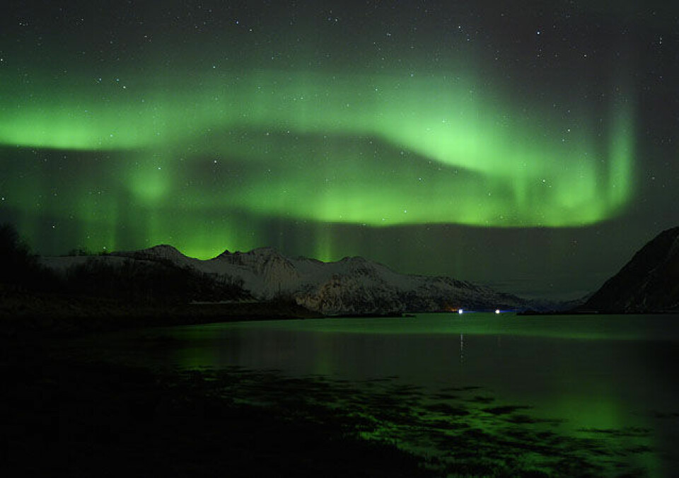Over 1000 påmeldt Mørketidsløpet nordlys1_8CE0660.jpg