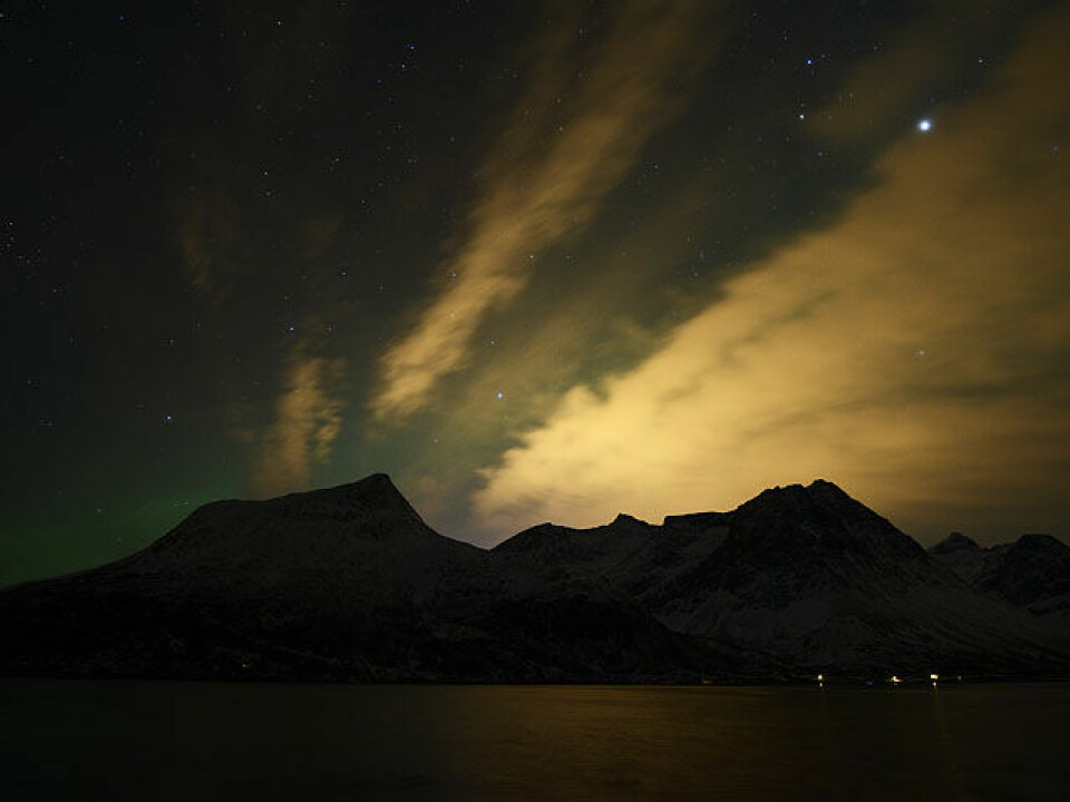Over 1000 påmeldt Mørketidsløpet nordlys2_8CE0706.jpg