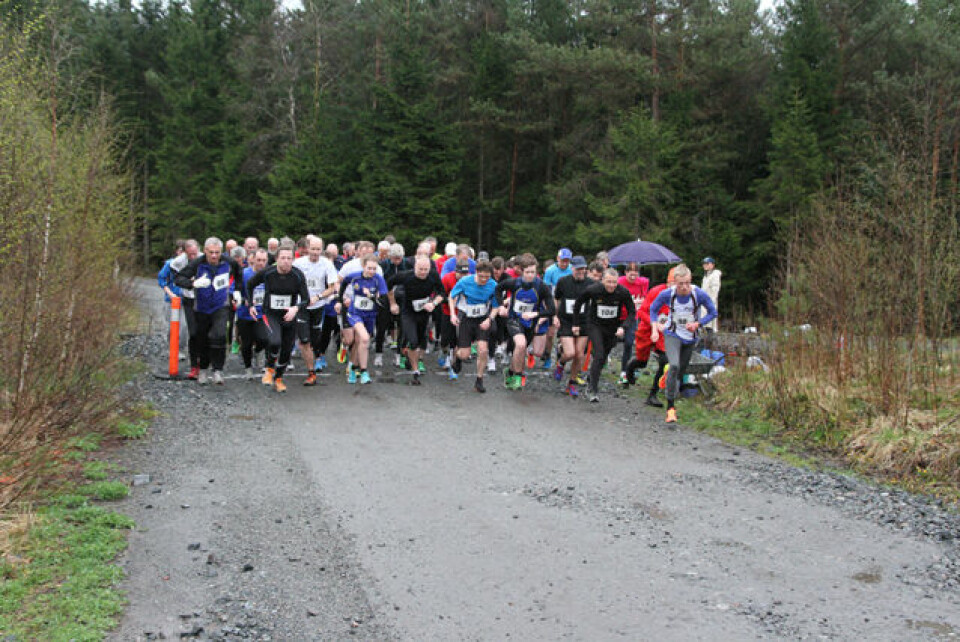 Lett regn over Hordnesskogen Rundt.