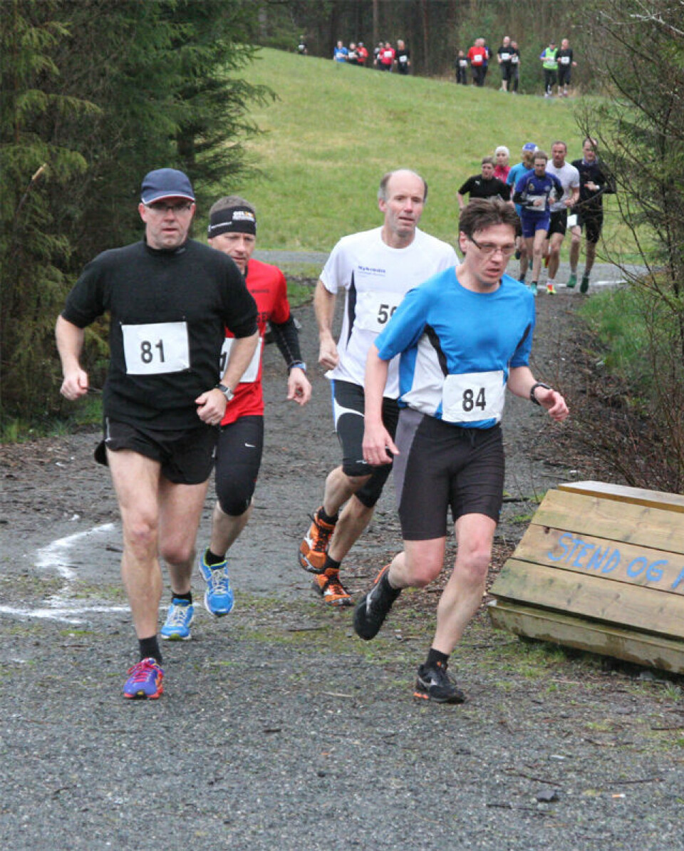 Lett regn over Hordnesskogen Rundt.