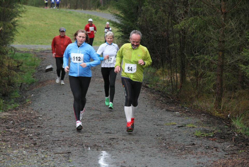 Lett regn over Hordnesskogen Rundt.
