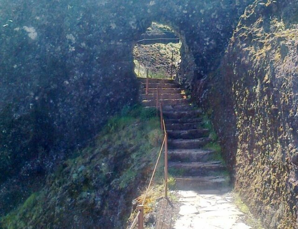 Seks norske fullførte Madeira Ultra i heftig terreng Bilde2235 (640x493).jpg