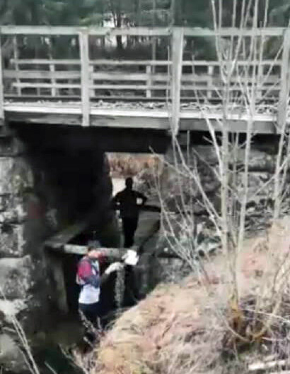 To helger på rad med verdensrekorder i orientering BojanEirik2.jpg