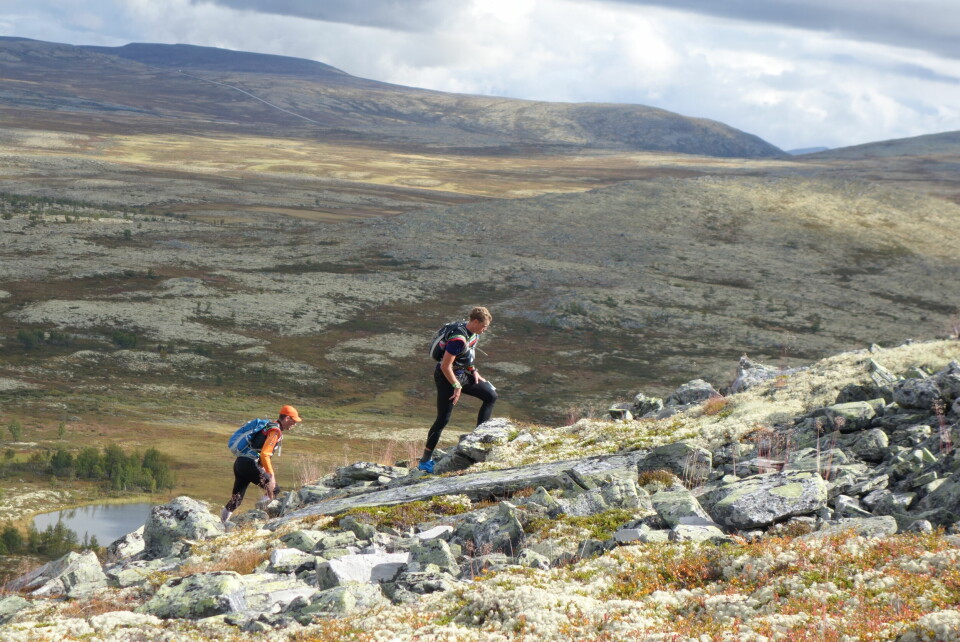 Vellykket start for Nordic Adventure Race på Hedmarksvidda Løp_Kolmården.jpg