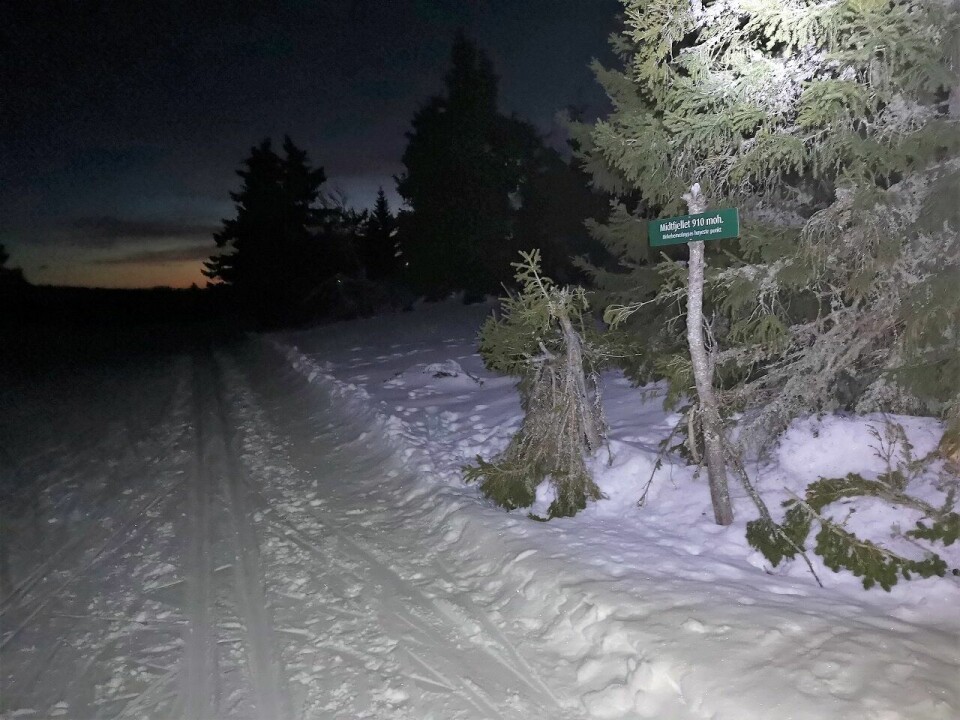 Fem gikk Birken x 4 på vel 20 timer 4xbirken24-fredag (5).jpg
