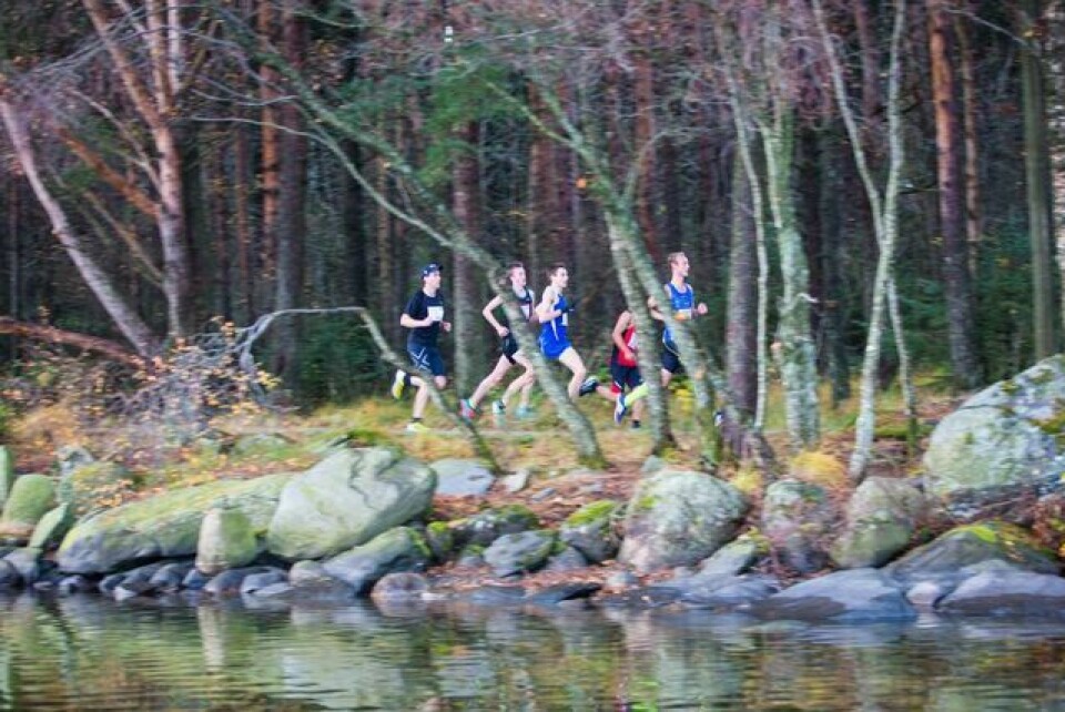 Ørjan Grønnevig satte løyperekord i 3-sjøersløpet 3sjøers_fiskeperspektiv_dagoliver_640x427.jpg