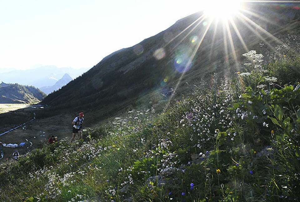 Norsk mannefall da Ultra-trail Mont Blanc starta med TDS soloppgang_50D1907.jpg