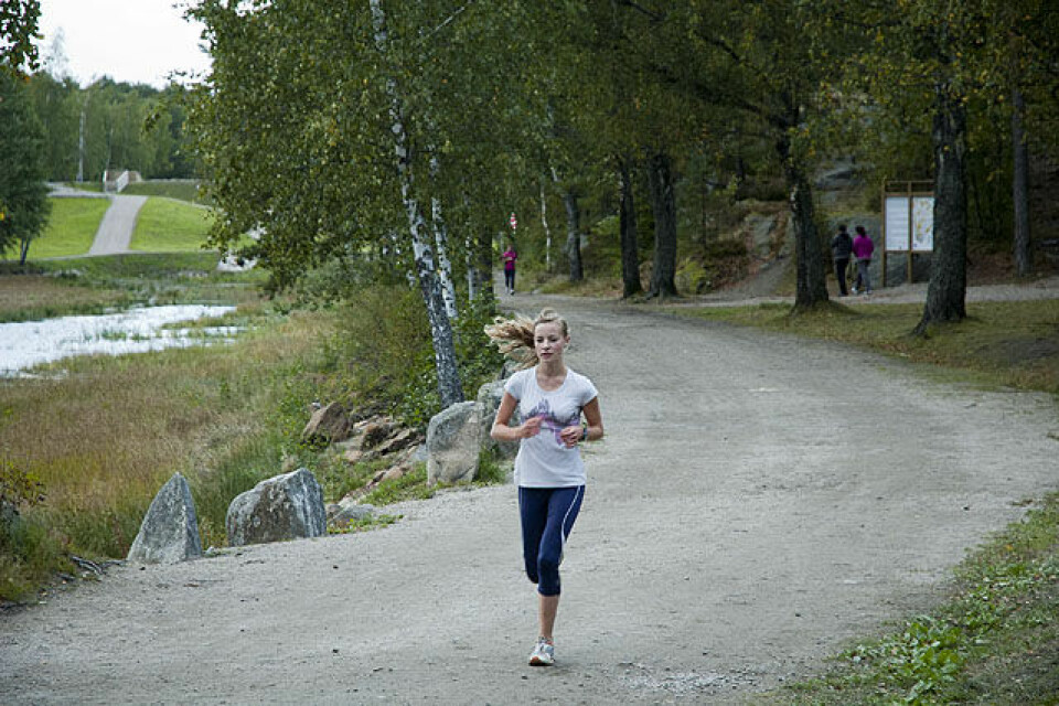 Full fart i Fredrikstadmarka