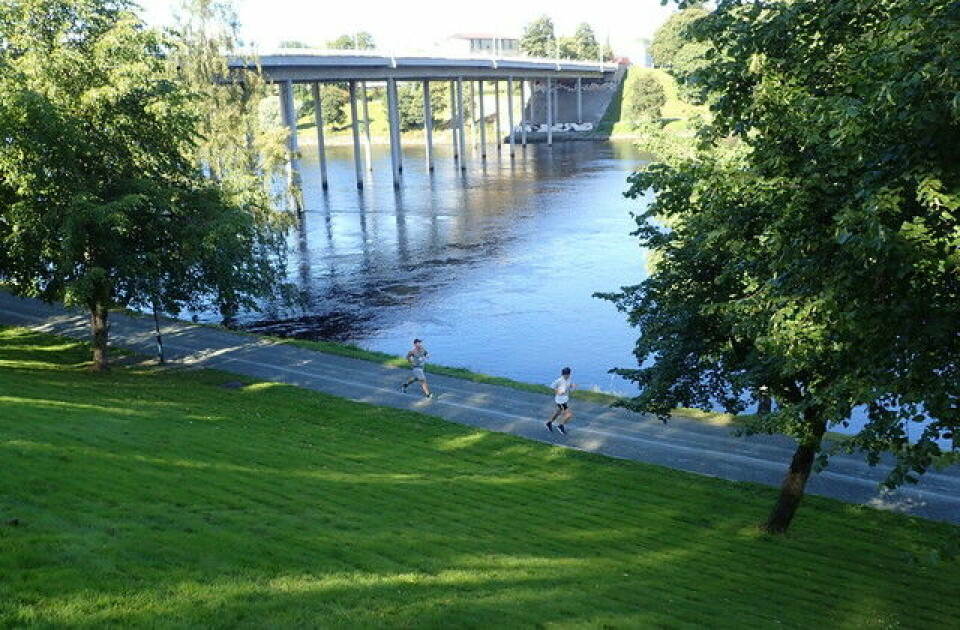Solveig F. Guldberg med kjempepers da hun vant Trondheim Maraton