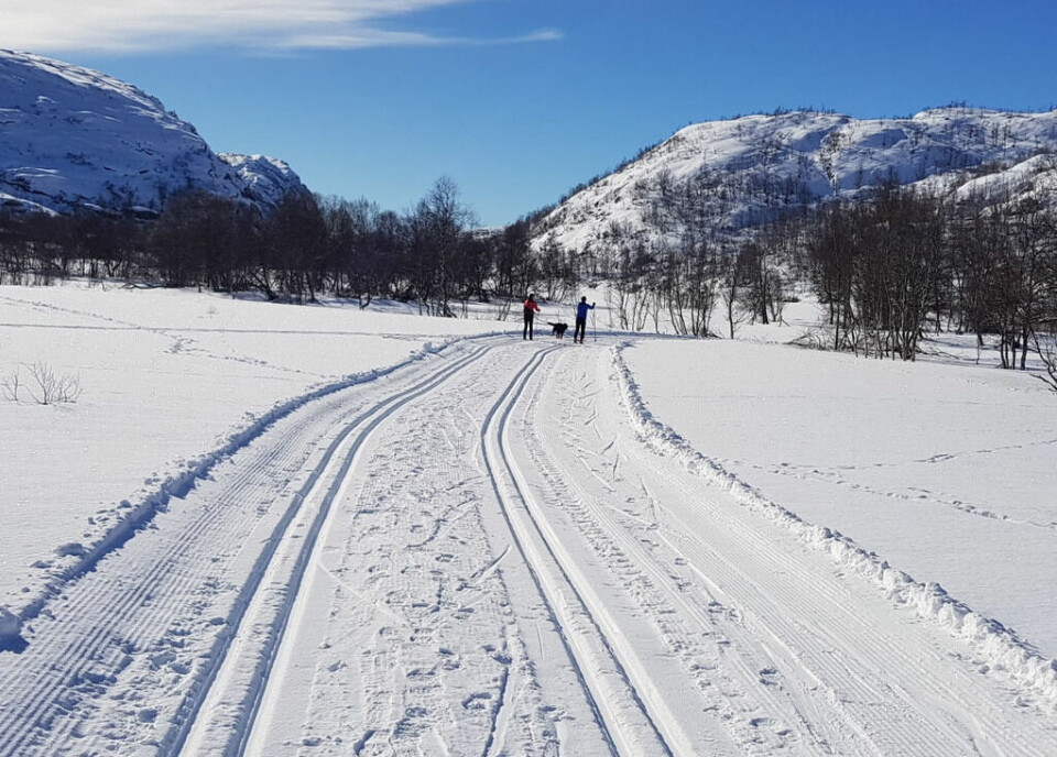 Sirdal Skimaraton gjør seg klar til årets renn 16. mars skimaraton trase 10mars2019 - ny del.jpg
