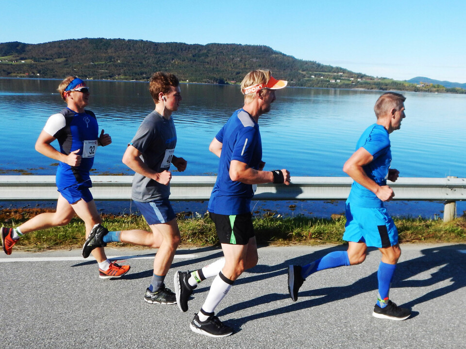 Fra maraton og kortløp til 24-timers hinderløp TorvikbuktRundt-rekke.jpg
