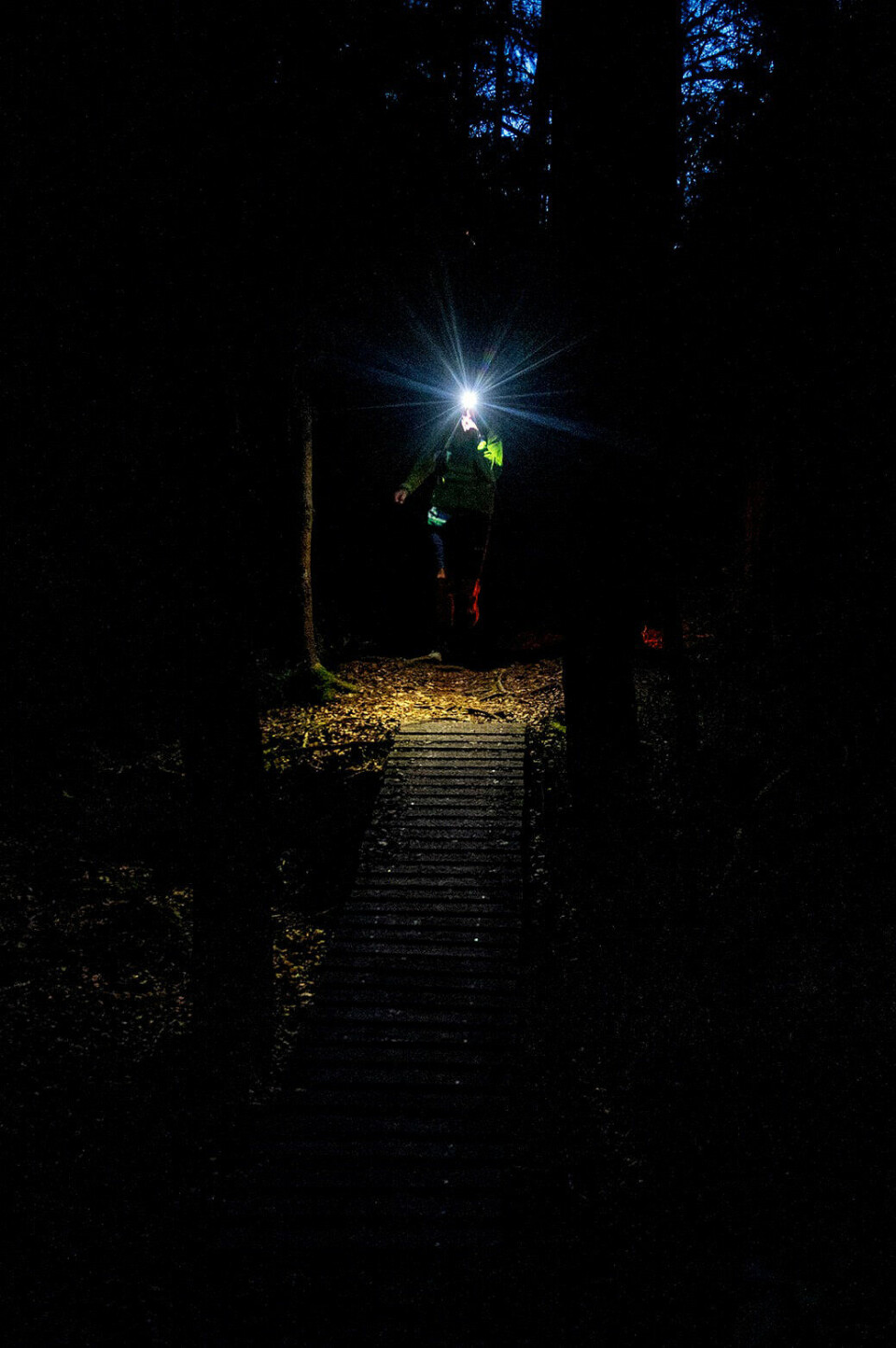 179 deltok i Backyard Ultra Sandefjord nattloping.jpg