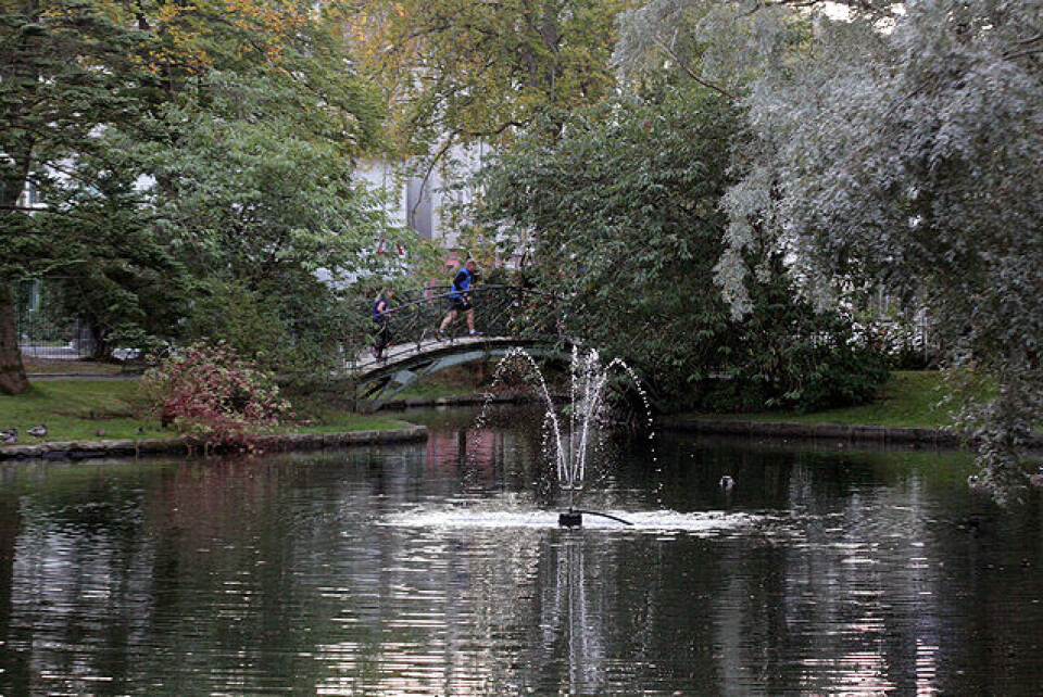 Varegg-dobbel da Bykarusellen i Bergen startet opp IMG_4554.jpg