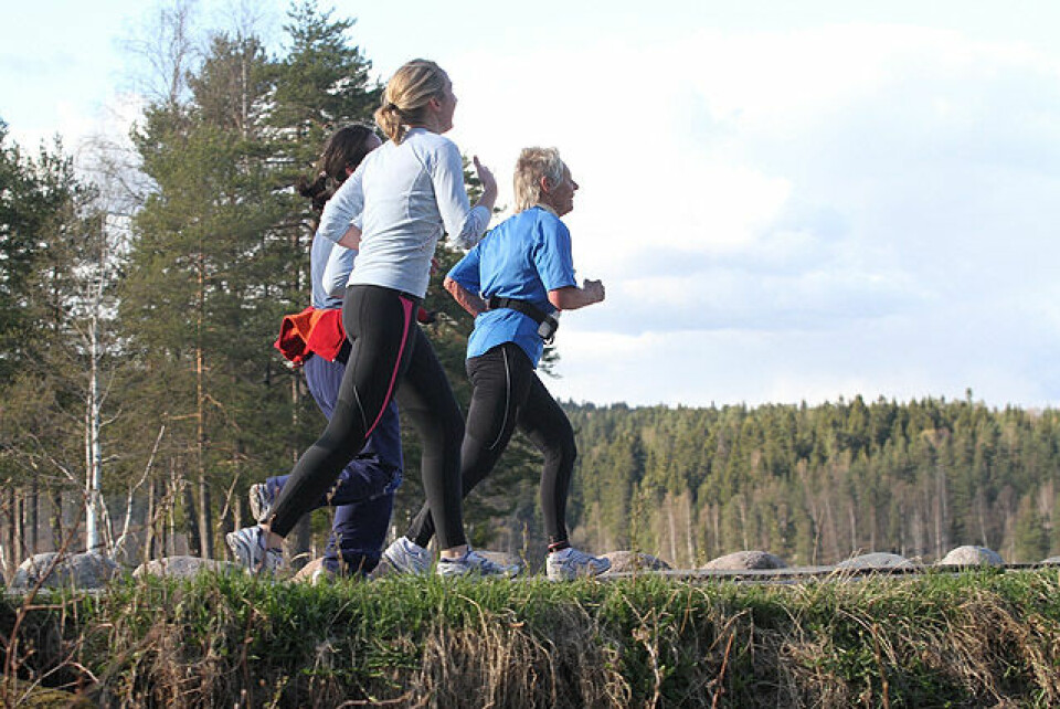 Jentebølgen i kaldt solskinnsvær Idyll_IMG_1256