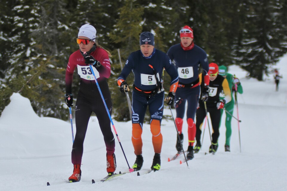 Ilona Jambor som tok 4. plassen totalt i kvinneklassen med herrer på rekke og rad bak seg 2 km ut i den 43 km lange løypa. (Foto: Rolf Bakken) Ilona Jambor som tok 4. plassen totalt i kvinneklassen med herrer på rekke og rad bak seg 2 km ut i den 43 km lange løypa. (Foto: Rolf Bakken)