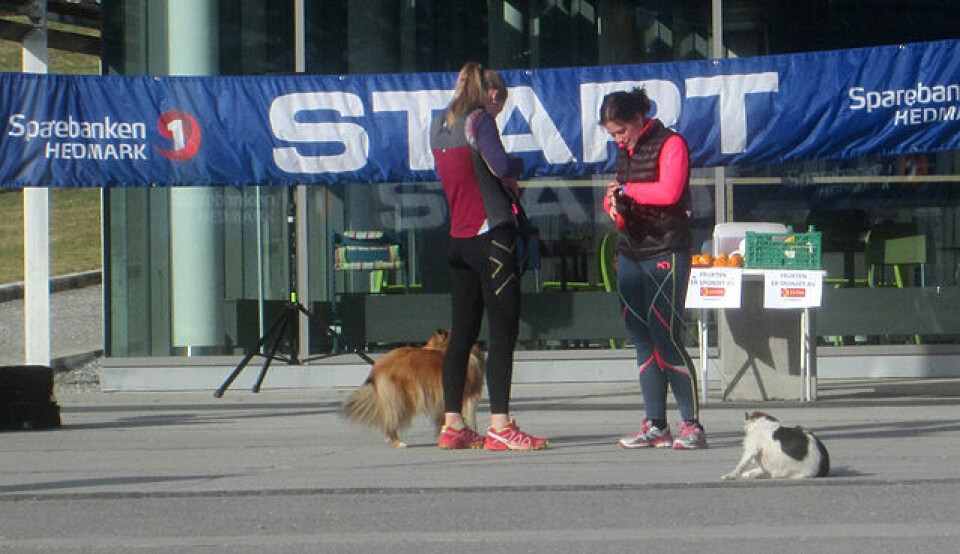 Rekorddeltakelse i årets første karuselløp på Kongsvinger Damer_med_hund.jpg