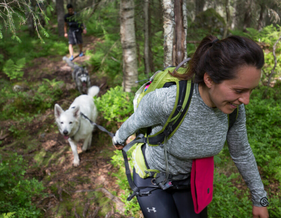 Marka 24 - Norges tøffeste turopplevelse KONDIS_2016-06-18-SYL_6353.jpg