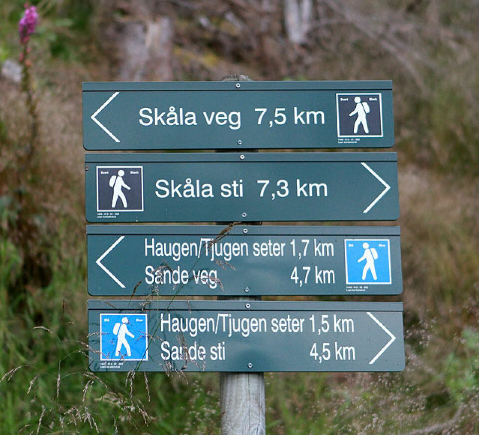 Skåla Opp fullsatt på en time Veidkille_sti_veg_A20G6411.jpg