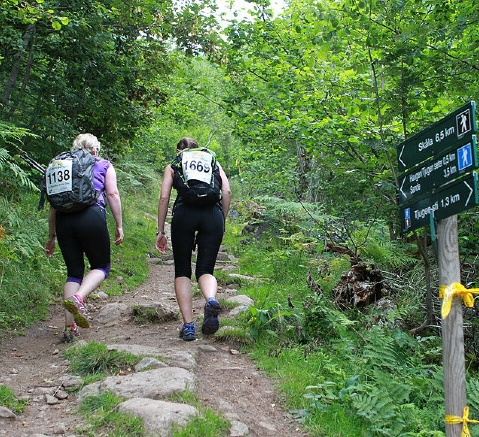 Skåla Opp fullsatt på en time Skille2_slutt_vei_A20G6434.jpg