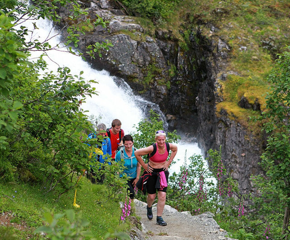 Skåla Opp fullsatt på en time Trimmere_fin_sti_foss_A20G6534.jpg