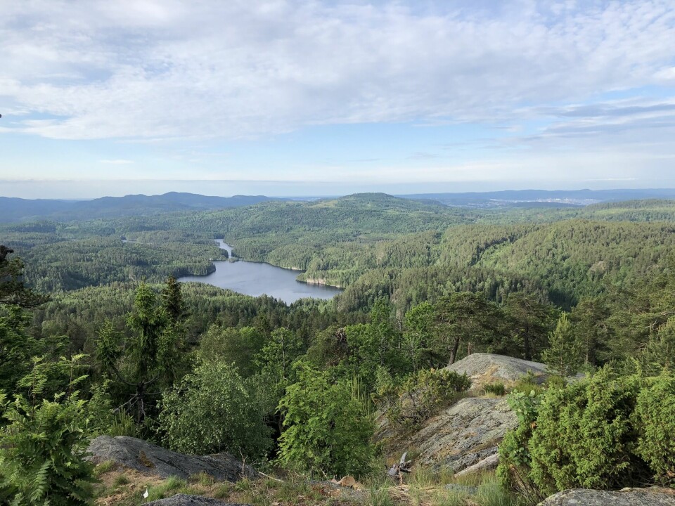 Tobias Dahl Fenre suverent raskest i Skogvokteren 88 km testløp Utsikt_fra_Galten.jpg