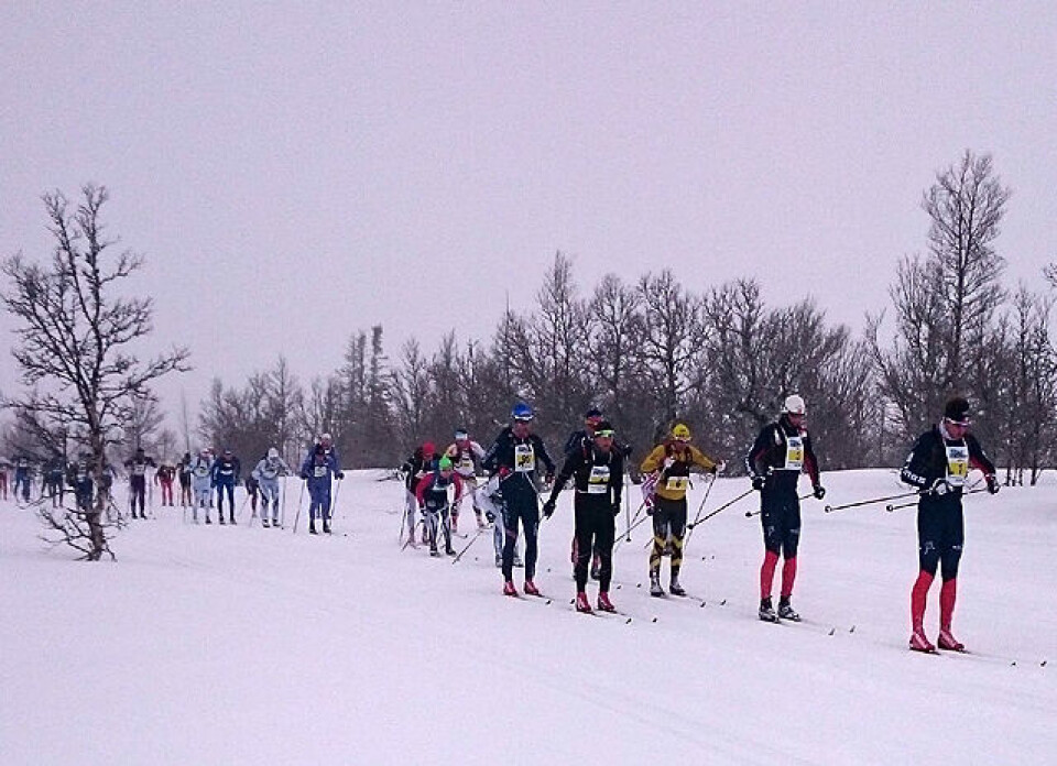 Håvard Hansens sjuende og tøffeste Troll Ski-seier Teten_120km.jpg